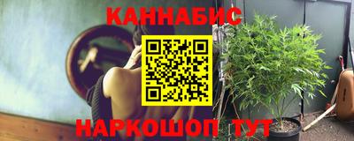 винт Тара