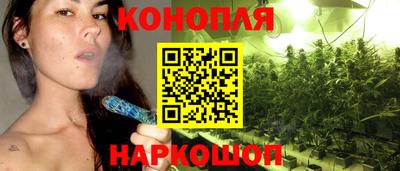 винт Тара