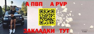 винт Тара