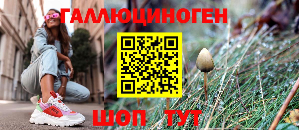 Галлюциногенные грибы Psilocybine cubensis  Вход с VPN  Псилоцибиновые грибы GOLDEN TEACHER  где найти наркотики  Отрадное 
