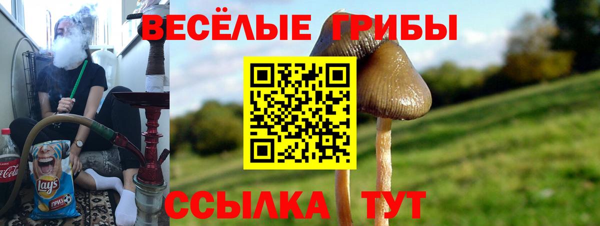 Псилоцибиновые грибы Cubensis Отрадное